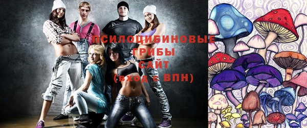 прущие грибы Липки
