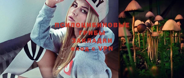 бошки Алексин