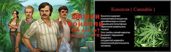 бошки Алексин